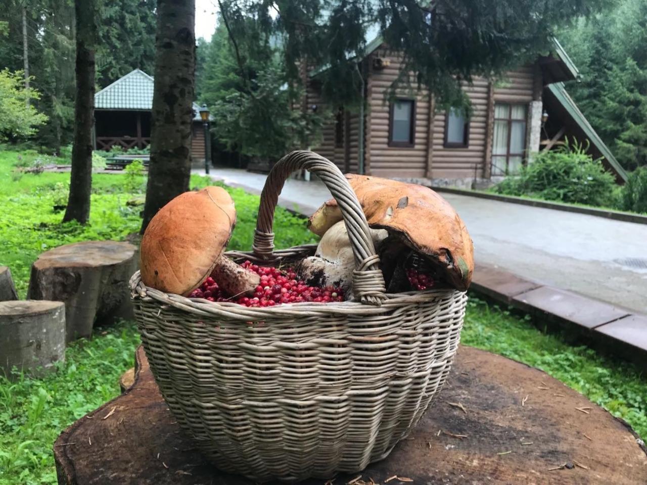 Лісовий Маєток 슬랍스크 외부 사진